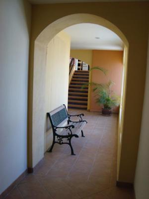 Hotel Colli San José del Cabo Εξωτερικό φωτογραφία